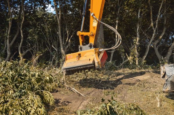Cost of Brush Removal Service in Anchorage