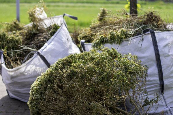 Cost of Bushes Clearing in Anchorage
