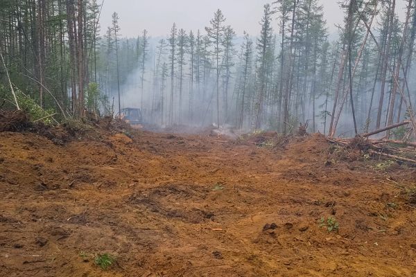 Cost of Hill Clearing in Anchorage