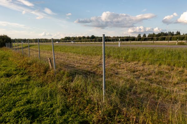 Cost of Property Line Clearing in Anchorage