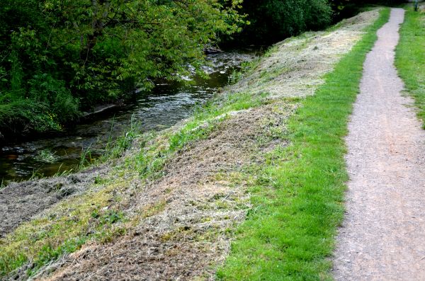 Cost of Trail Cutting in Anchorage
